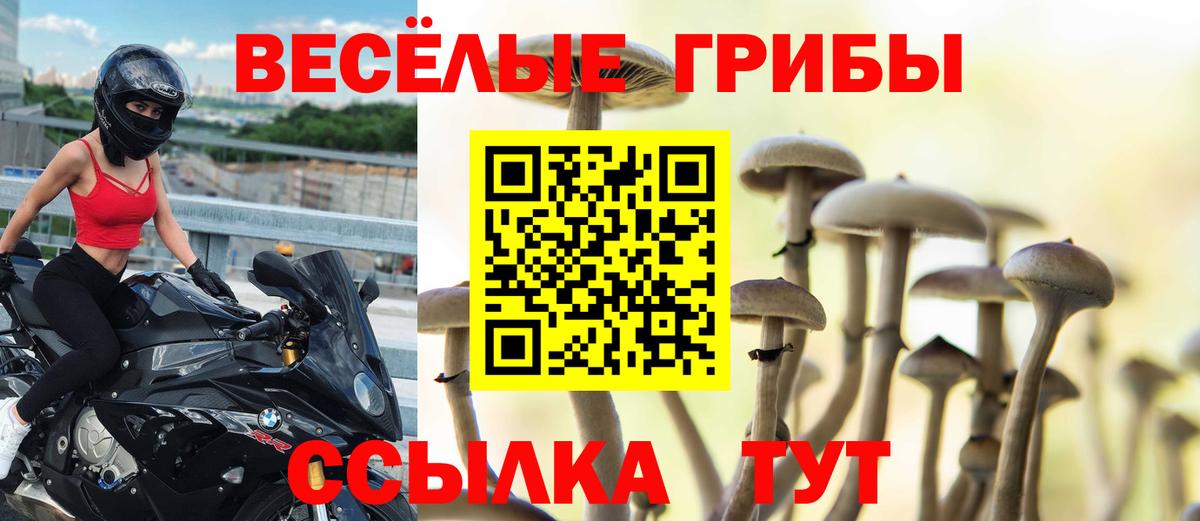 Псилоцибиновые грибы мухоморы  Вход с VPN  Елизово 