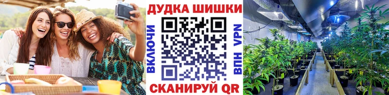 где купить наркотик  Елизово  Марихуана White Widow 